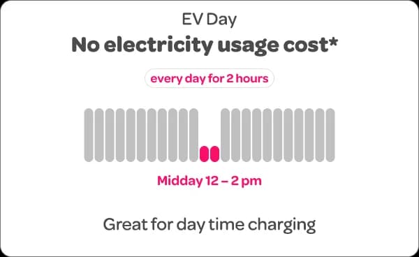EV Day - No electricity usage cost* every day for 2 hours - Midday - 2pm
