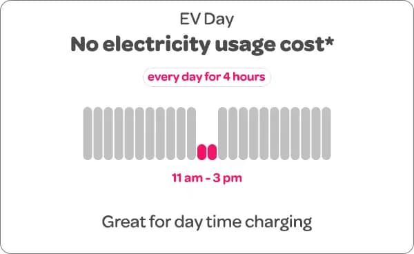 EV Day - No electricity usage cost* every day for 4 hours - 11am - 3pm