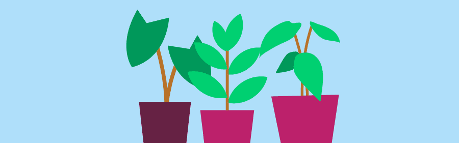 pot plants in Powershop coloured pots, ready for moving house