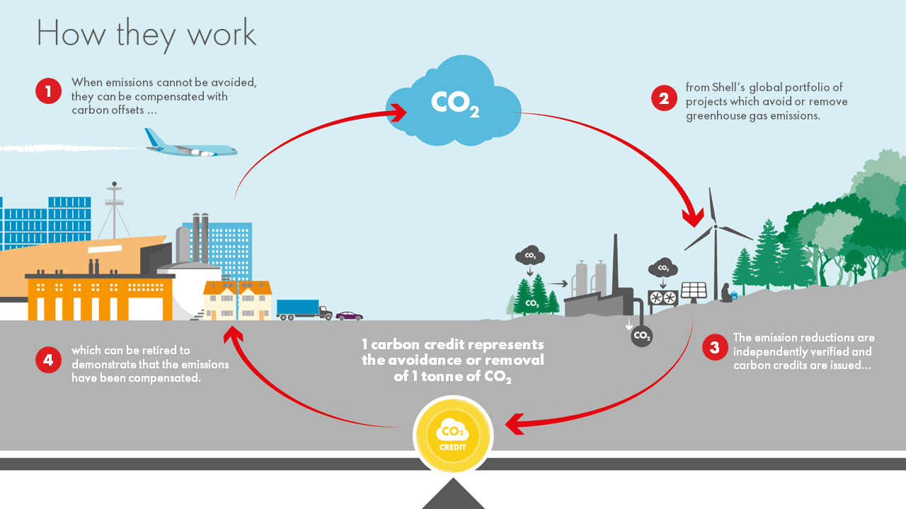 Infographic explaining how carbon credits work